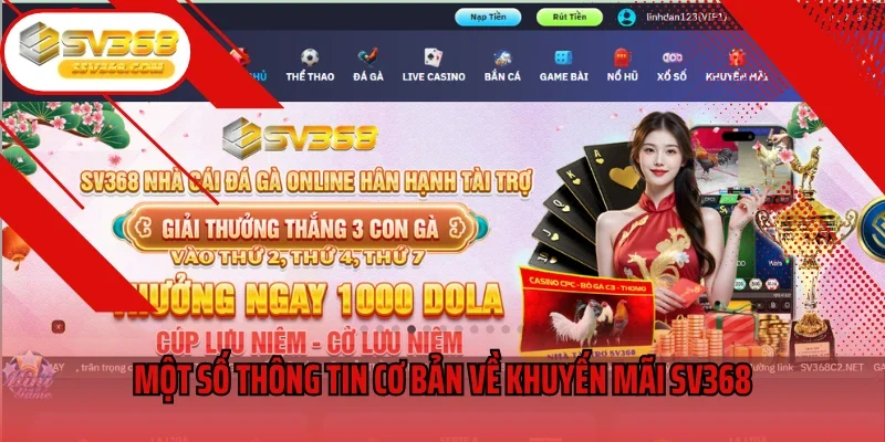 Một số thông tin cơ bản về khuyến mãi SV368